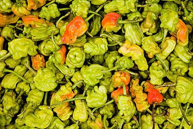 《幽灵行动：荒野》加入Game Pass后 出现联网问题